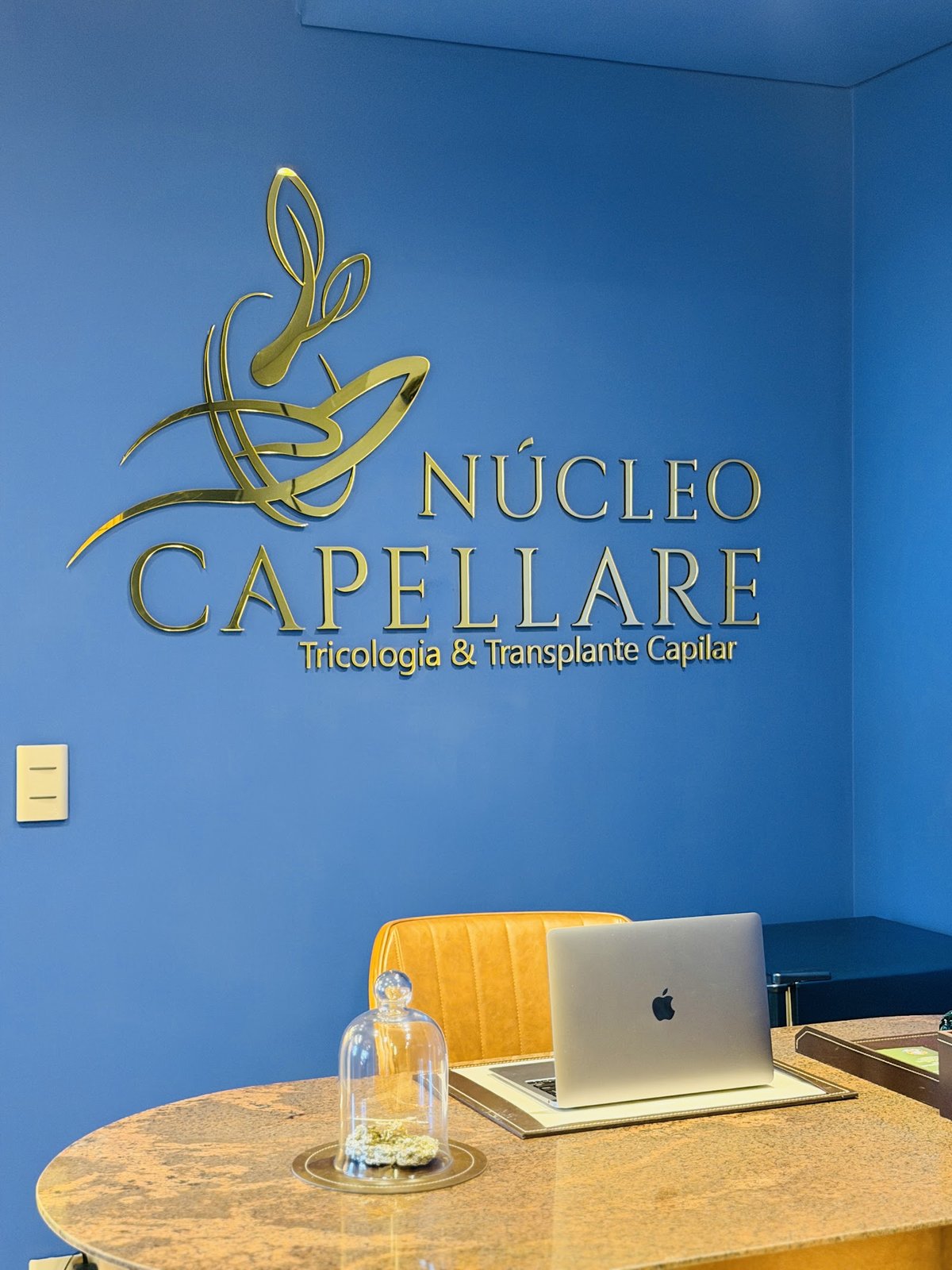 Recepção do Núcleo Capellare com a marca em dourado na parede azul